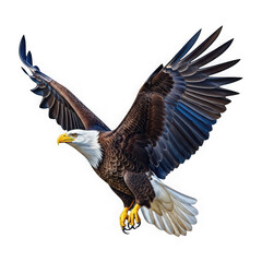 Obraz premium Powerful bald eagle in flight with wings spread wide, isolated on transparent background, showcasing its majestic beauty and strength