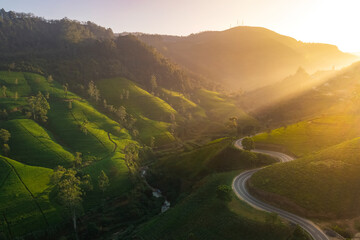 Naklejka premium Aerial view of road in green meadows at sunset in summer. Top view from drone of