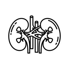 Human kidney icon isolated on, representing renal health and medical illustration