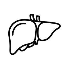 Illustration of a human liver isolated on, an important organ for detoxification