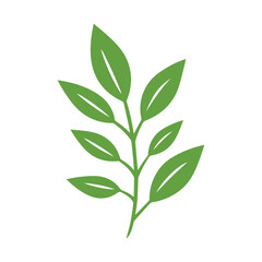 Fototapeta premium Green Leaf icon shape fresh flat vector design.