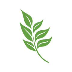 Fototapeta premium Green Leaf icon shape fresh flat vector design.