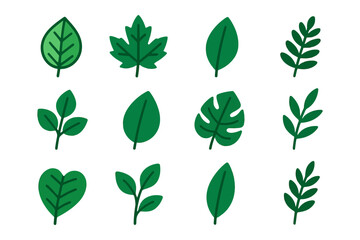 Naklejka premium Collection of various leaf illustrations in vibrant green tones.