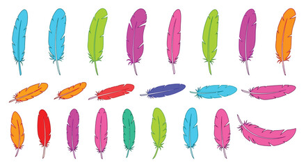 A vibrant collection of colorful feathers arranged in neat rows and clusters