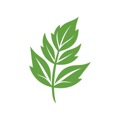 Fototapeta premium Green Leaf icon shape fresh flat vector design.