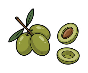Green Olives Vector Illustration, Whole Fruit and Slices with Leaves Isolated on White Background
