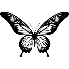 Download black and white butterfly vector image for free decoration art silhouette