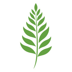 Fototapeta premium Green Leaf icon shape fresh flat vector design.