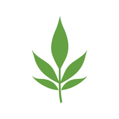 Naklejka premium Green Leaf icon shape fresh flat vector design.