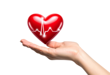 Hand holding red heart with EKG heartbeat