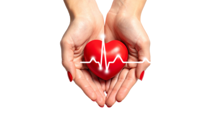 Hands holding red heart with pulse line, health care concept