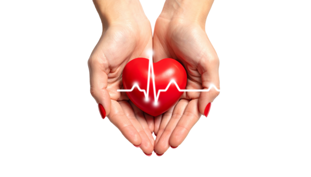 Hands holding red heart with pulse line, health care concept - Powered by Adobe