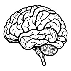 A simplified, line-art illustration of the human brain in profile, showcasing its intricate folds and the cerebellum.