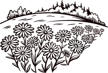 Wildflower meadow with blooming daisies in front of rolling hills and distant trees, hand drawn illustration