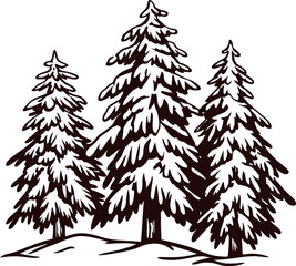 Hand drawn coniferous fir trees covered with snow, vintage winter forest illustration in engraving