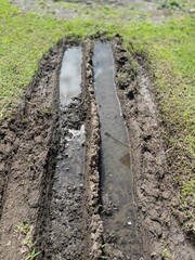 Deep muddy truck tire tracks cutting through wet grassland after rain, illustrating rugged terrain and heavy vehicle impact.