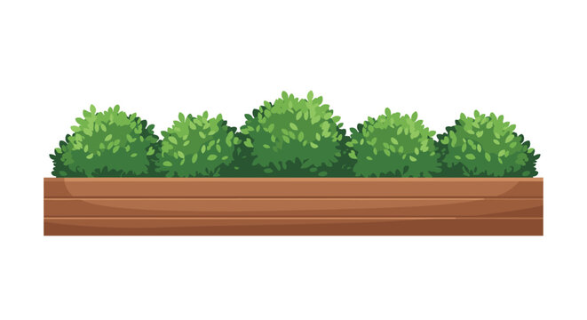 A long rectangular wooden planter box filled with neatly trimmed lush green bushes for garden or street decoration.