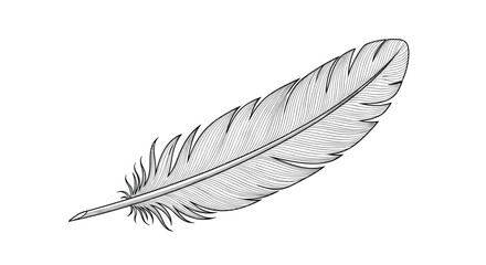 A highly detailed black and white feather illustration in a classic vintage engraving or woodcut style on a white background.