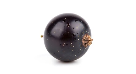 Single Fresh Blackcurrant Berry Isolated on White Background.