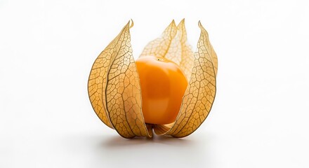 Vibrant Orange Physalis Fruit in Delicate Papery Husk.