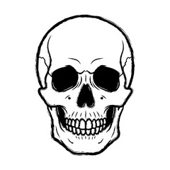 Skull Illustration with Brush Stroke Style on White Background