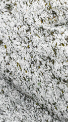 interesting texture of granite stone.