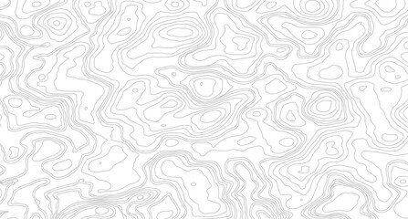 Obraz premium White wave paper curved reliefs abstract background, Abstract topographic contours map background, Topography map background. Vector geographic contour map. 