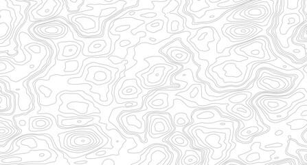 Abstract Topographic Map Lines. Monochrome Terrain Lines Art. Wavy Geographical Contour Lines