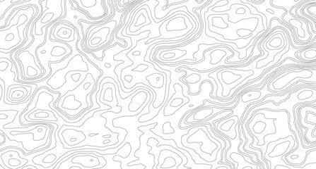 Geography landscape Topo contour map on white background, Topographic contour lines. Seamless pattern with lines Topographic map. Geographic mountain relief diagram line wave carve pattern. 
