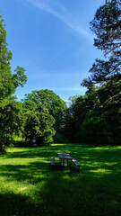 Naklejka premium Outdoor meadow park scene with picnic table under blue sky in Southern Illinois greenery today