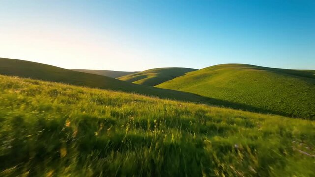 Majestic, sweeping vista of undulating green hills covered in diverse wild grasses, gently swaying under a clear, expansive sky at dawn. Wide, establishing shot with a slow, deliberate pan.