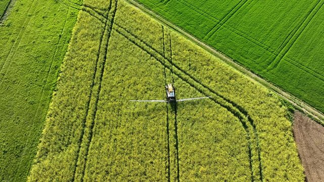 Aerial view of a tractor spraying crops, contrasting the vibrant green and yellow fields in a geometric pattern, Wittenheim, Grand Est, France.