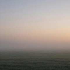 Fototapeta premium A peaceful field covered in low soft fog during sunrise. Pastel sky, natural gradients.