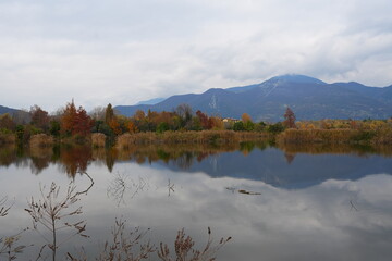 The foliage, colors, and lights of autumn in the Torbiere del Sebino Nature Reserve. The oasis of is located in a marshy area south of Lake Iseo.