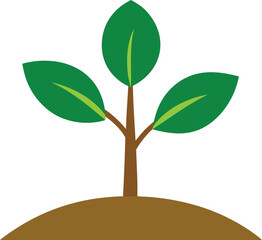 Green tree sprout seedling eco growth icon isolated on transparent background