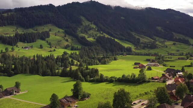 Aerial view of lush green fields contrasting against the dark forest and nestled houses in the valley, Lake Brienz, Canton of Bern, Switzerland.
