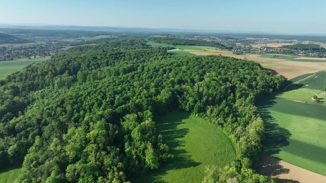 Aerial view of a dense forest contrasting with the patchwork of agricultural fields, creating a vibrant tapestry of greens and browns, Zillisheim, Grand Est, France.
