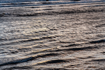 Golden light on gentle coastal waves at sunrise