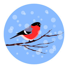 Bullfinch perches on branch in snowstorm. Bright winter bird with red breast against blue winter background with snowflakes and flakes. Vector flat illustration postcard, label, packaging, tag.