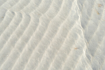Baltic Sea shoreline with simple structures clear water and soft sand capturing a quiet natural seascape