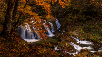 紅葉の森を流れる川　江竜田の滝　福島