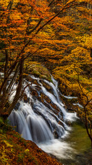 紅葉の江竜田の滝　秋の福島　絶景