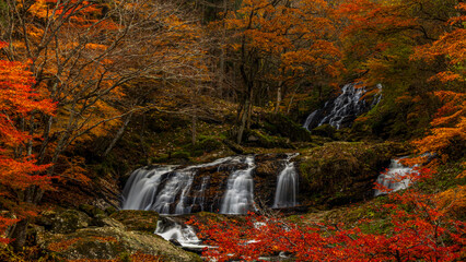 紅葉の森を流れ落ちる滝　江竜田の滝　福島　絶景
