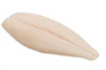 Raw white fish fillet, boneless and skinless, preparing for cooking delicious and nutritious seafood dishes. Transparent background