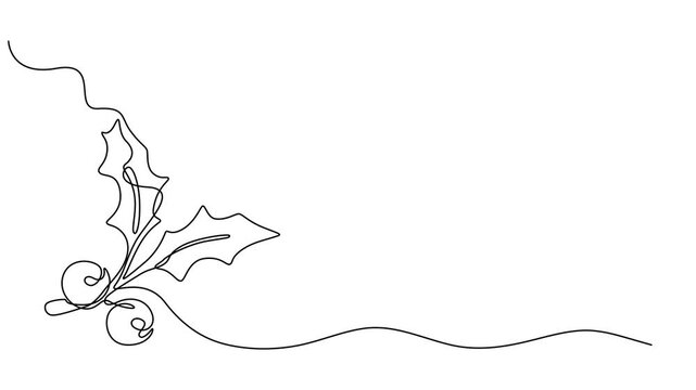 Holly berry continuous one line drawing animation, Christmas plant in continuous line drawing style. Line art of holly leaves with berry. Vector illustration. Abstract background, Christmas plant