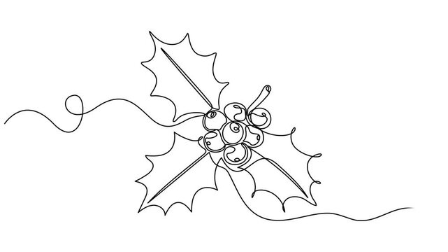 Holly berry continuous one line drawing animation, Christmas plant in continuous line drawing style. Line art of holly leaves with berry. Vector illustration. Abstract background, Christmas plant