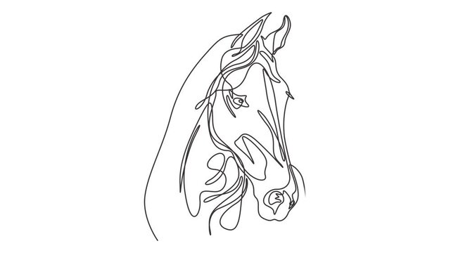 Self drawing animation of continuous line elegant horse head for company logo identity. Animated one line illustration, Self drawing animation of continuous line elegant horse head for company logo