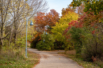 Autumn View of Colonel Samuel Smith Park in Toronto.