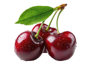 Close-up of three fresh, ripe cherries