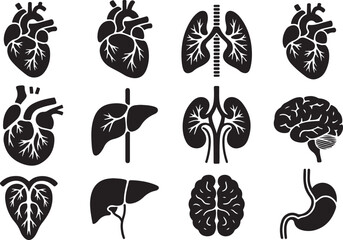 Intricate hand drawn anatomical organs set for medical illustration projects. Vector Black silhouettes. with white background